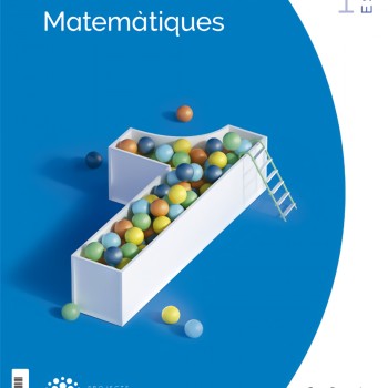 Matemàtiques 1 ESO, construint mons, Santillana