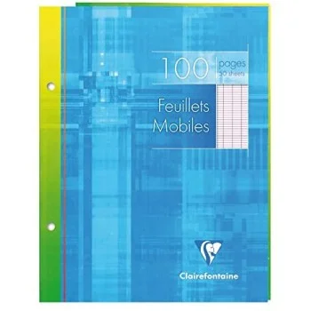 Fulls 17x22 seyes blanc 90g Clairefontaine -p. 50-