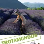 Trotamundos Provenza y Costa Azul, Le Routard