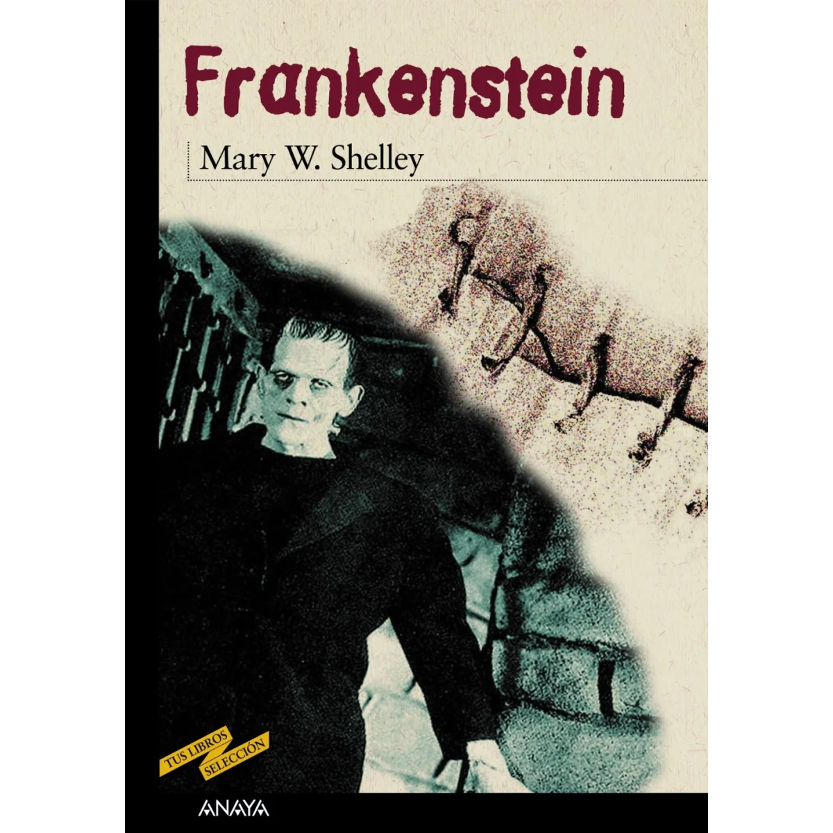 Frankenstein, Mary Shelley, Anaya