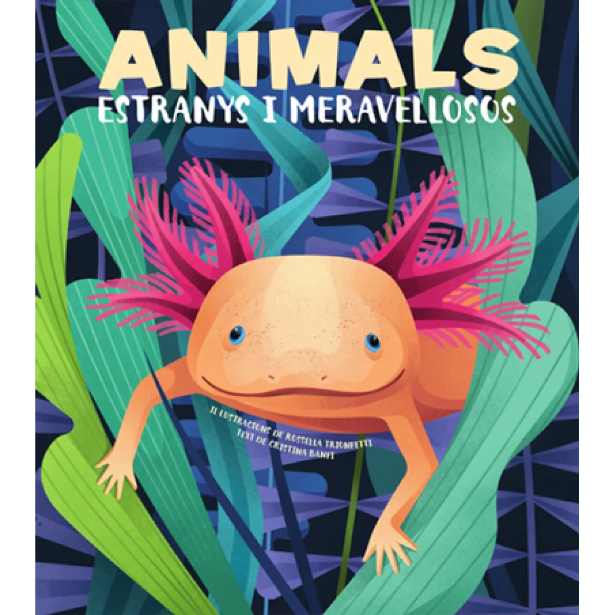 Animals estranys i meravellosos, Vicens Vives