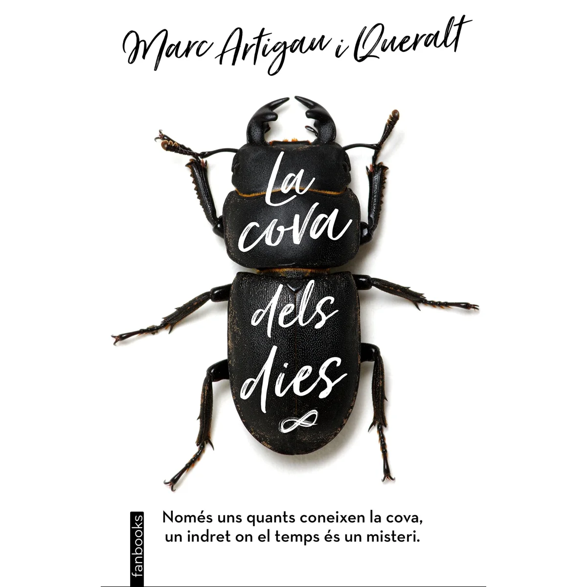 La cova dels dies, Marc Artigau i Queralt, Fanbooks