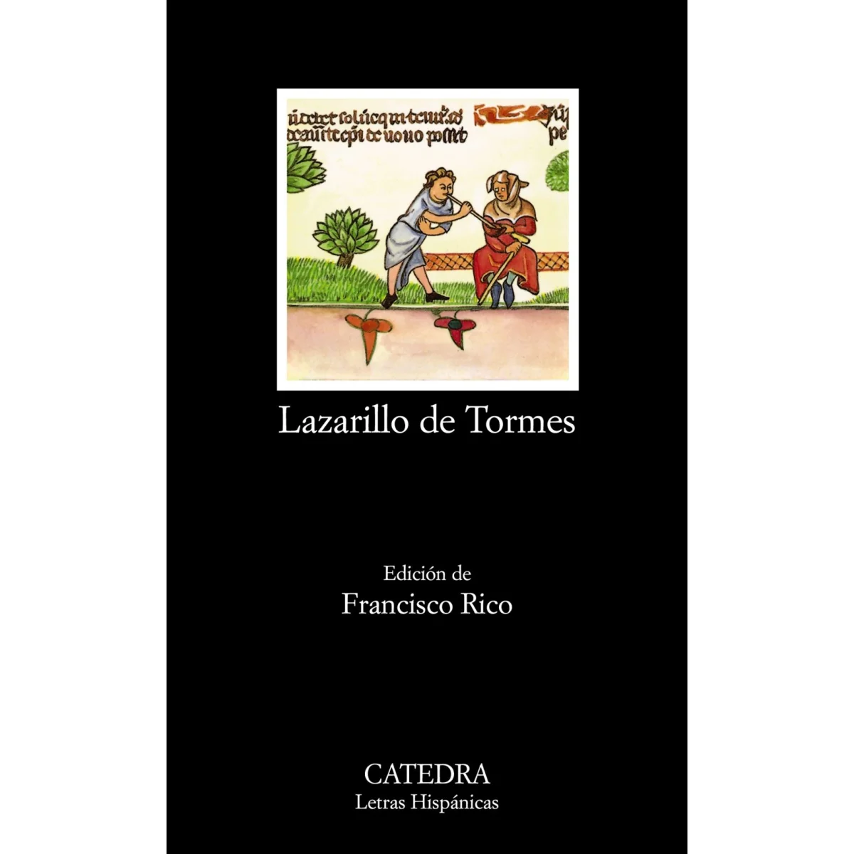 Lazarillo de Tormes, Cátedra