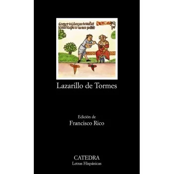 Lazarillo de Tormes, Cátedra