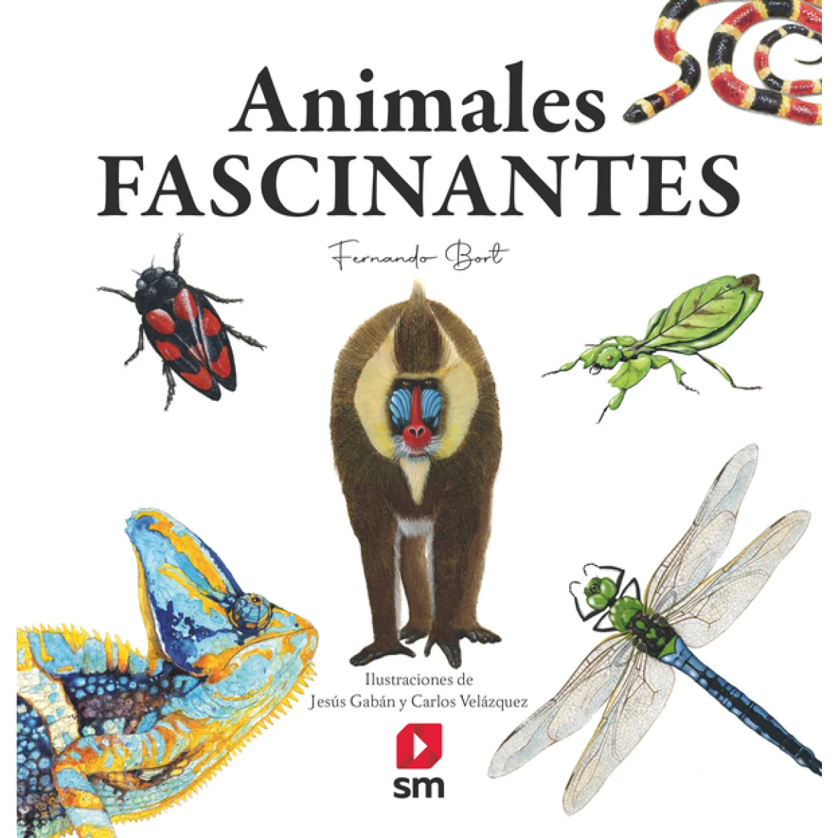 Animales fascinantes, SM