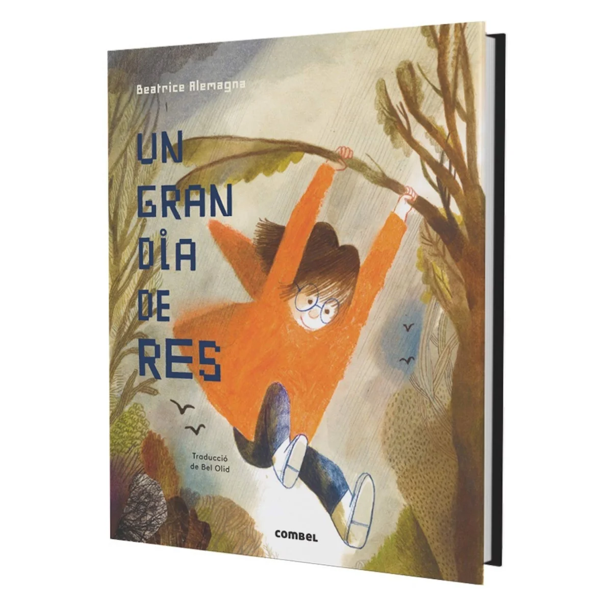 Un gran dia de res, Combel