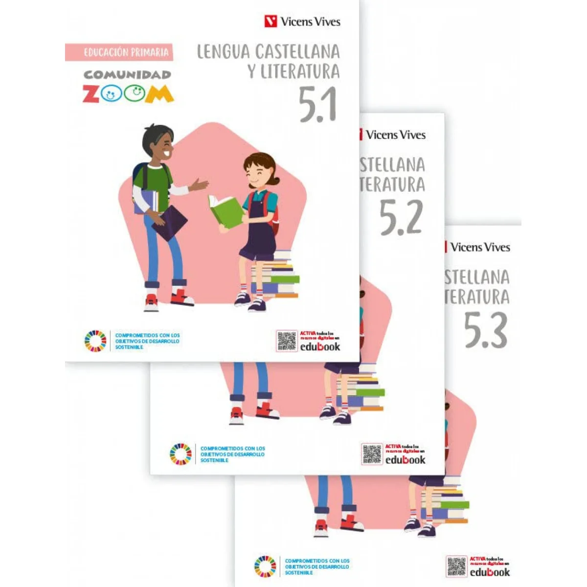 Lengua Castellana y Literatura 5 primaria, Com. Zoom, Vicens Vives