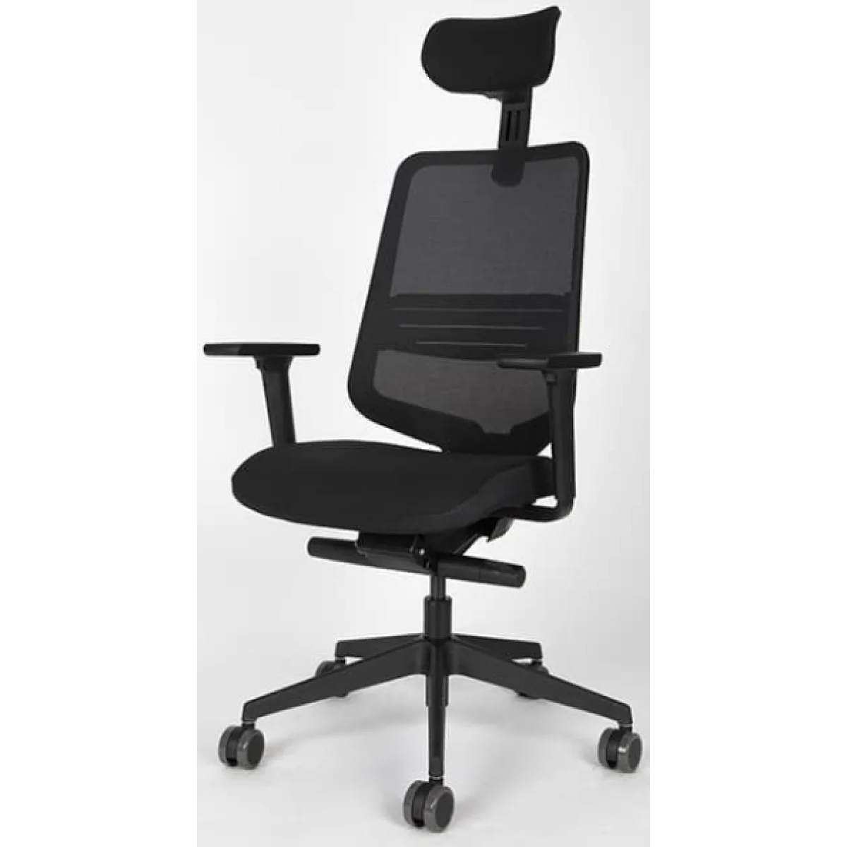 Cadira rodes a/bR1D capçal SDTL1-1601100B240B19621009 negre Dot Pro F5
