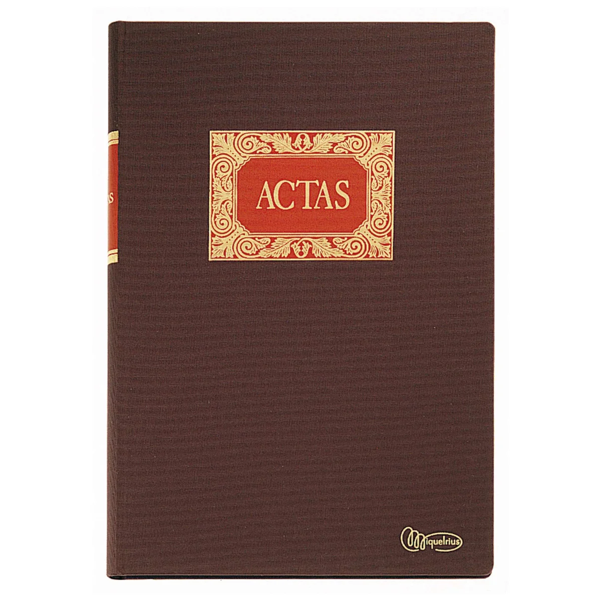 Llibre Actas Fº 100 fulls Miquel  Rius MR4013
