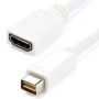 Adaptador HDMI a Mini DVI StarTech MDVIHDMIMF