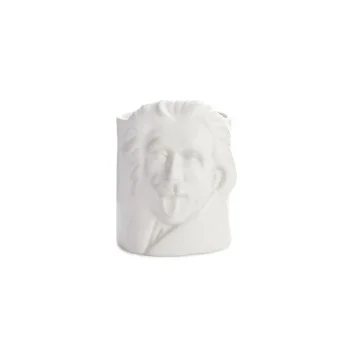 Portallapis Albert Einstein Balvi 27220