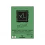 Bloc espiral dibuix A3 29,7x42 160g 50 fulls Dessin Canson C400039089 
