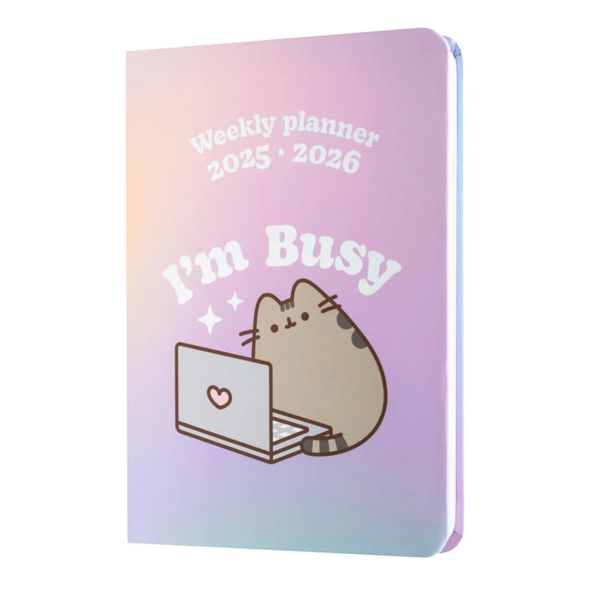Agenda escolar s/v A6 17 mesos Pusheen Erik 