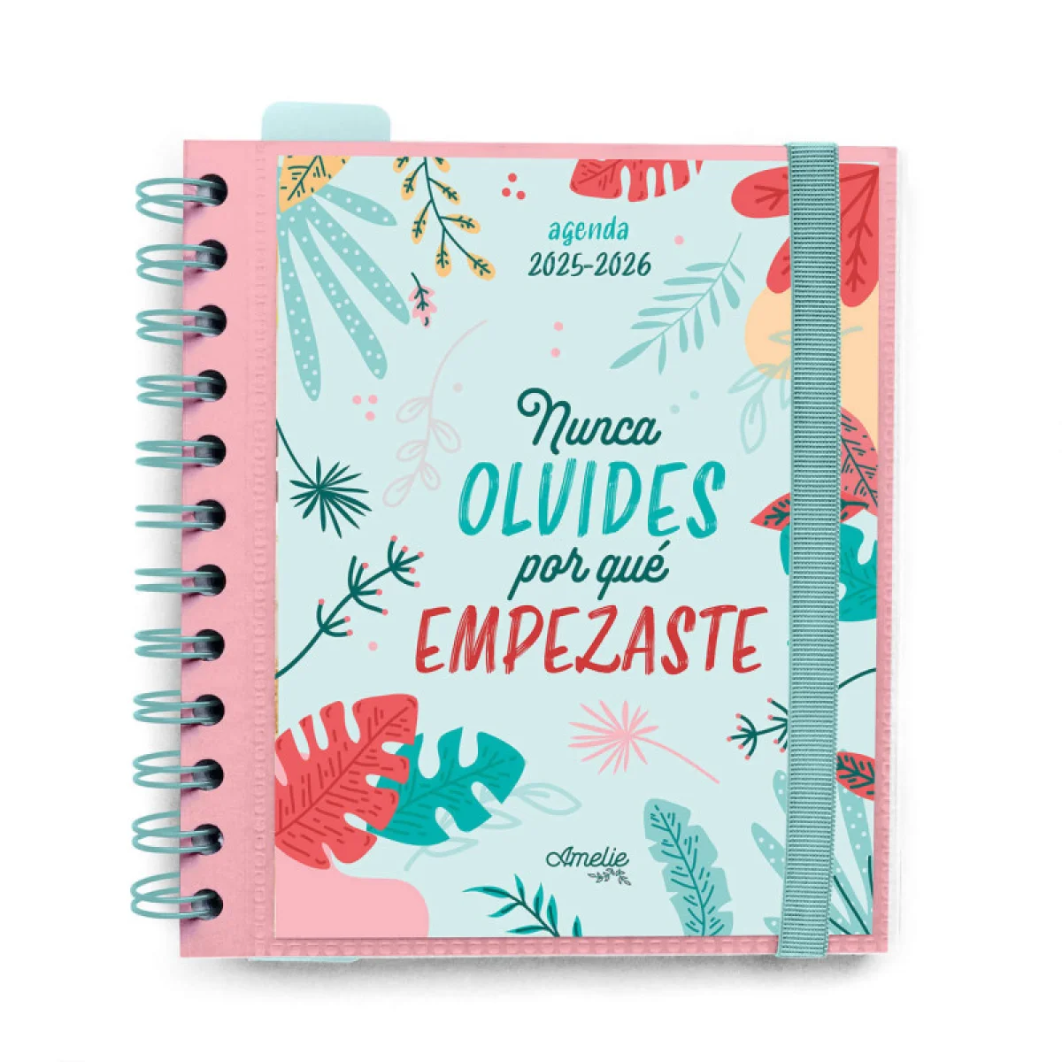 Agenda escolar d/p 14x16 11 mesos Amelie Erik