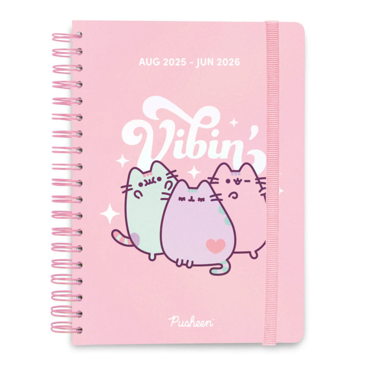 Agenda escolar s/v A5 12 mesos Pusheen The Cat Erik
