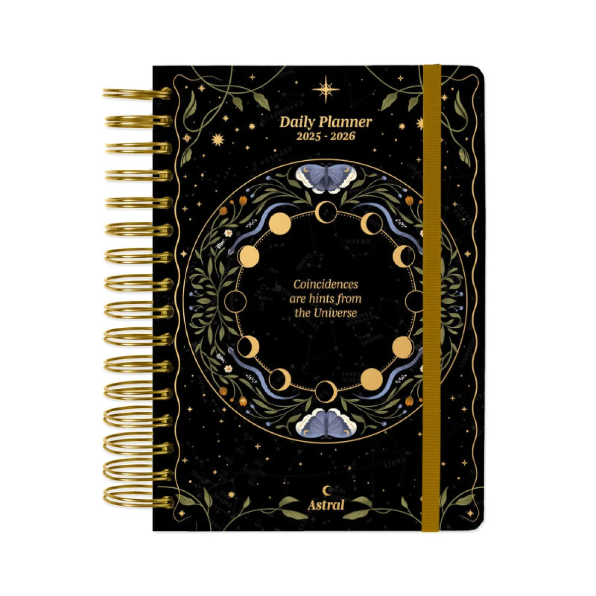 Agenda escolar d/p A5 12 mesos Astral Erik