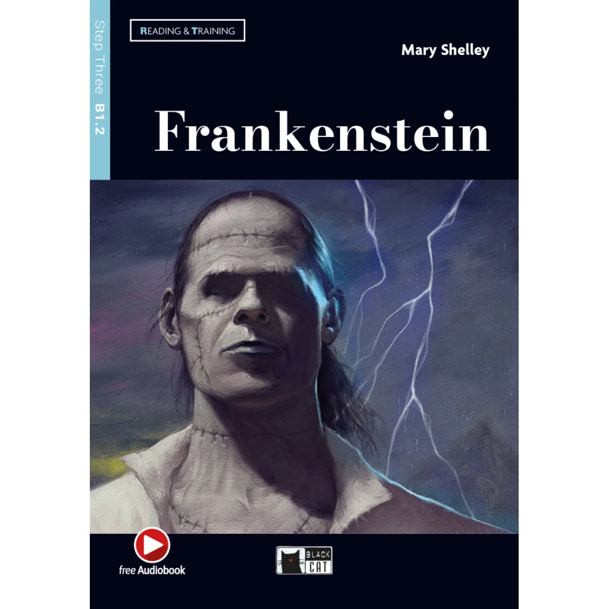 Frankenstein, Mary Shelly, Black Cat