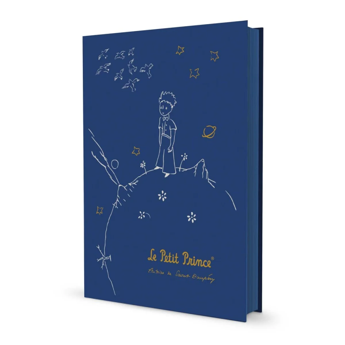Quadern A5 96f llis Le petit prince Erik CPA5001