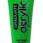Pintura acrílica verd leaf 120 mml Graduate D123120355