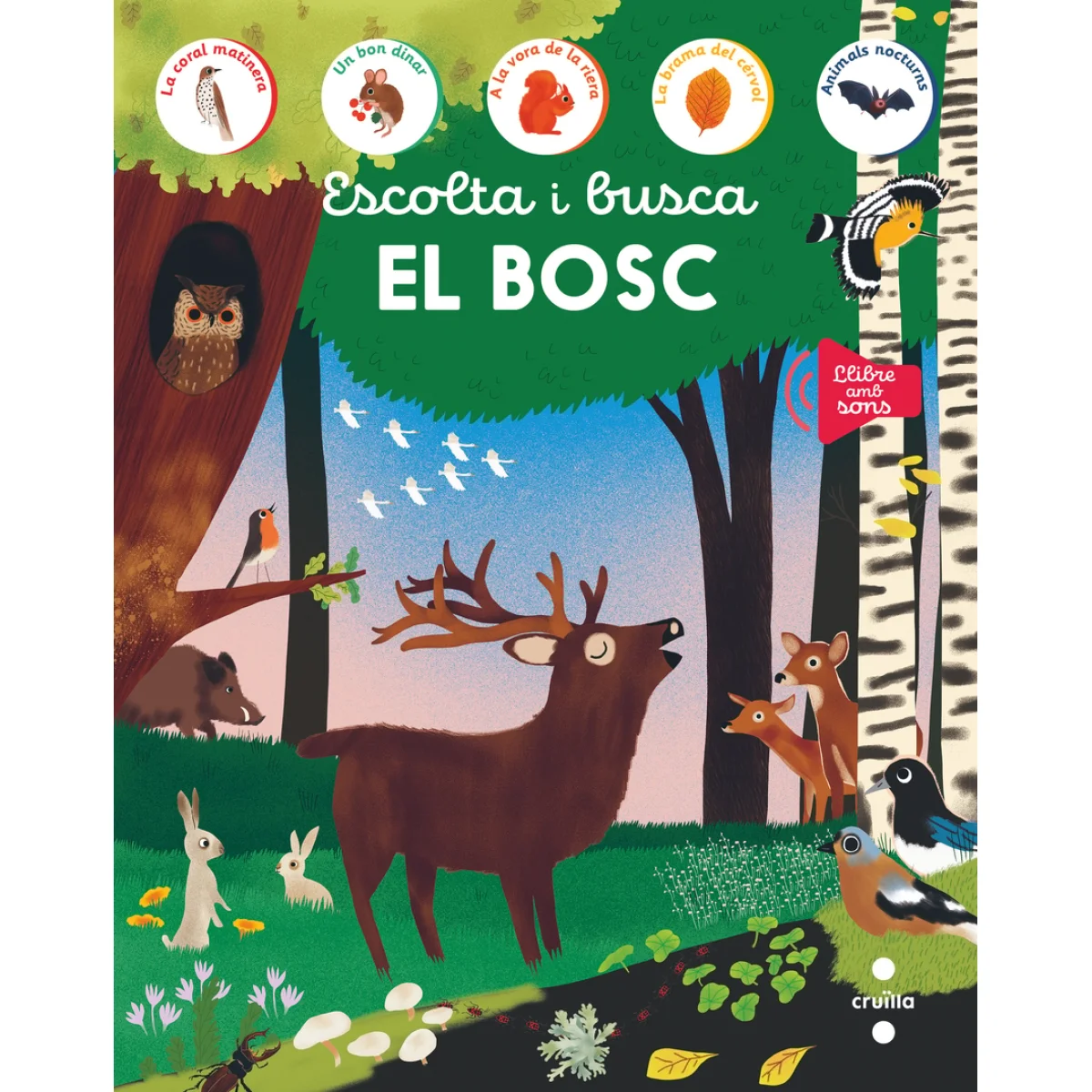 Escolta i busca. El bosc, Ediciones Larousse, Cruilla