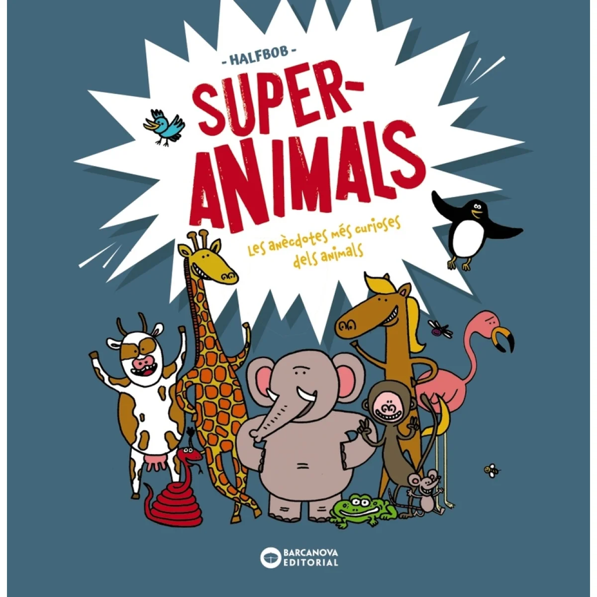 Superanimals, Halfbob, Barcanova