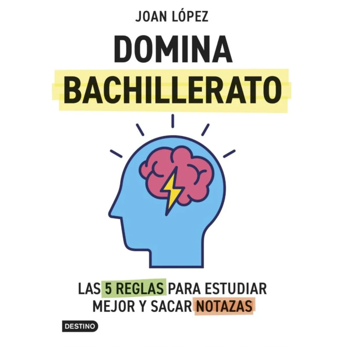 Domina bachillerato. Las 5 reglas para estudiar mejor y sacar notazas