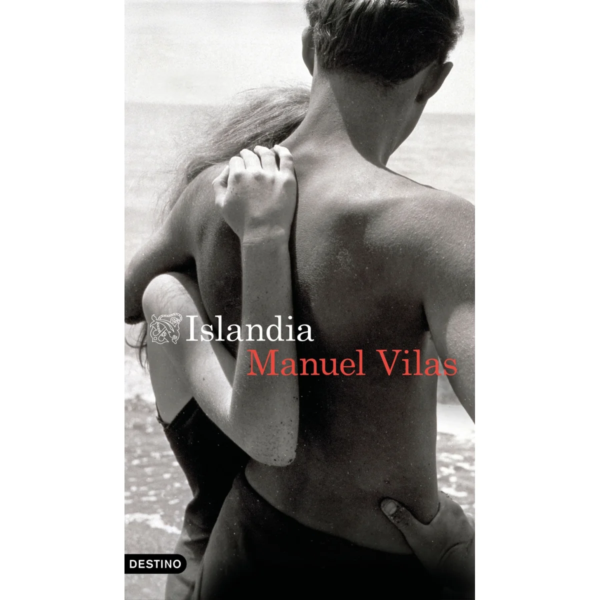 Islandia, Manuel Vilas, Destino