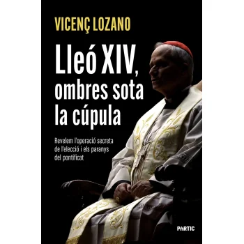 Lleó XIV, ombres sota la cúpula, Vicenç Lozano, Portic