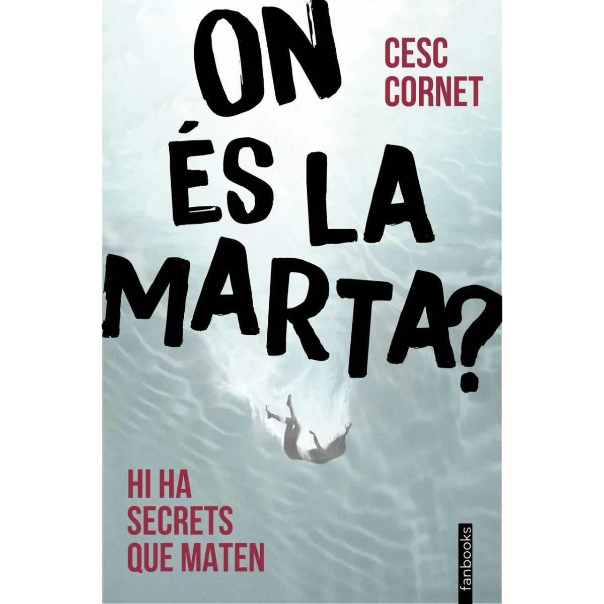 On és la Marta? Cesc Cornet, Fanbooks