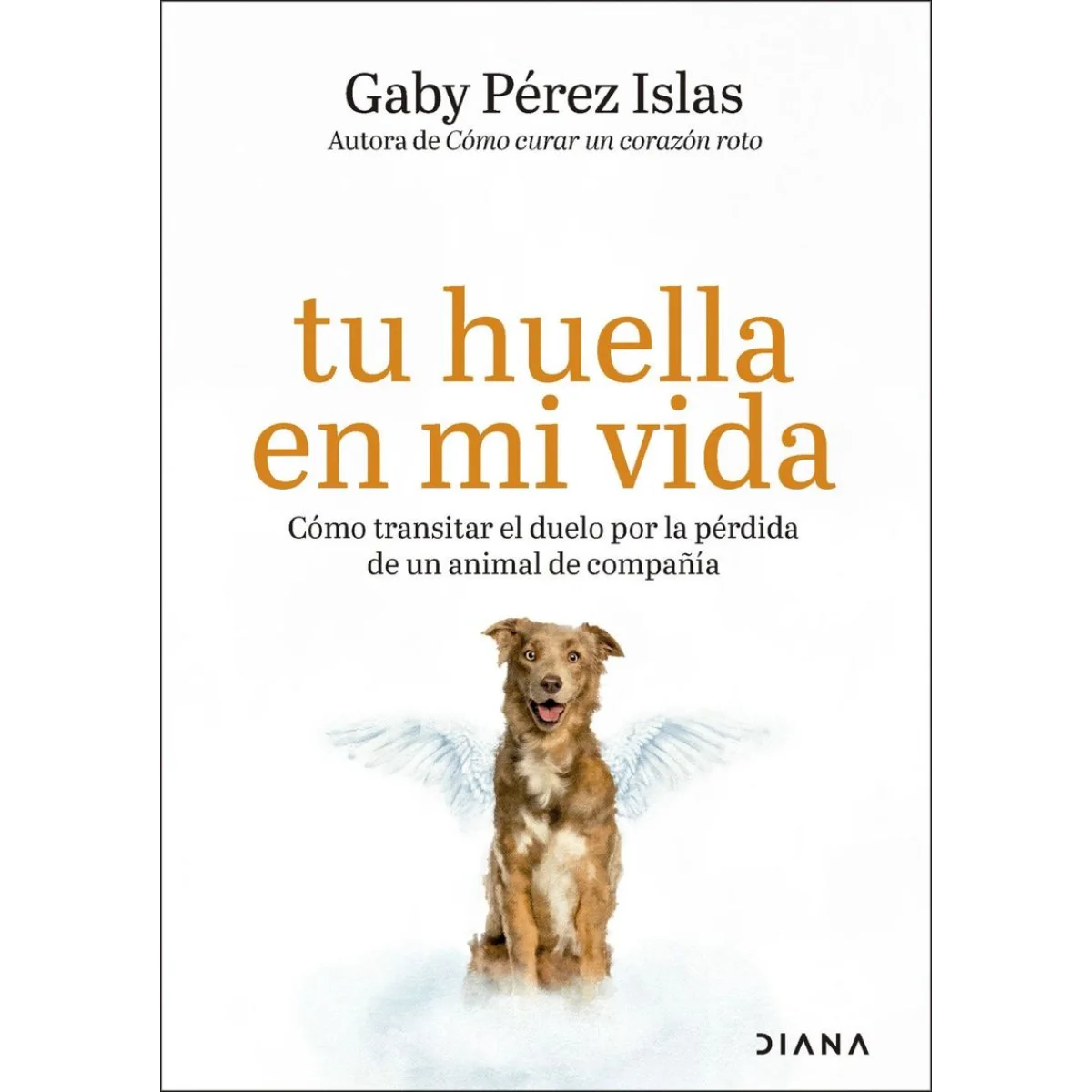 Tu huella en mi vida, Gaby Pérez Islas, Diana