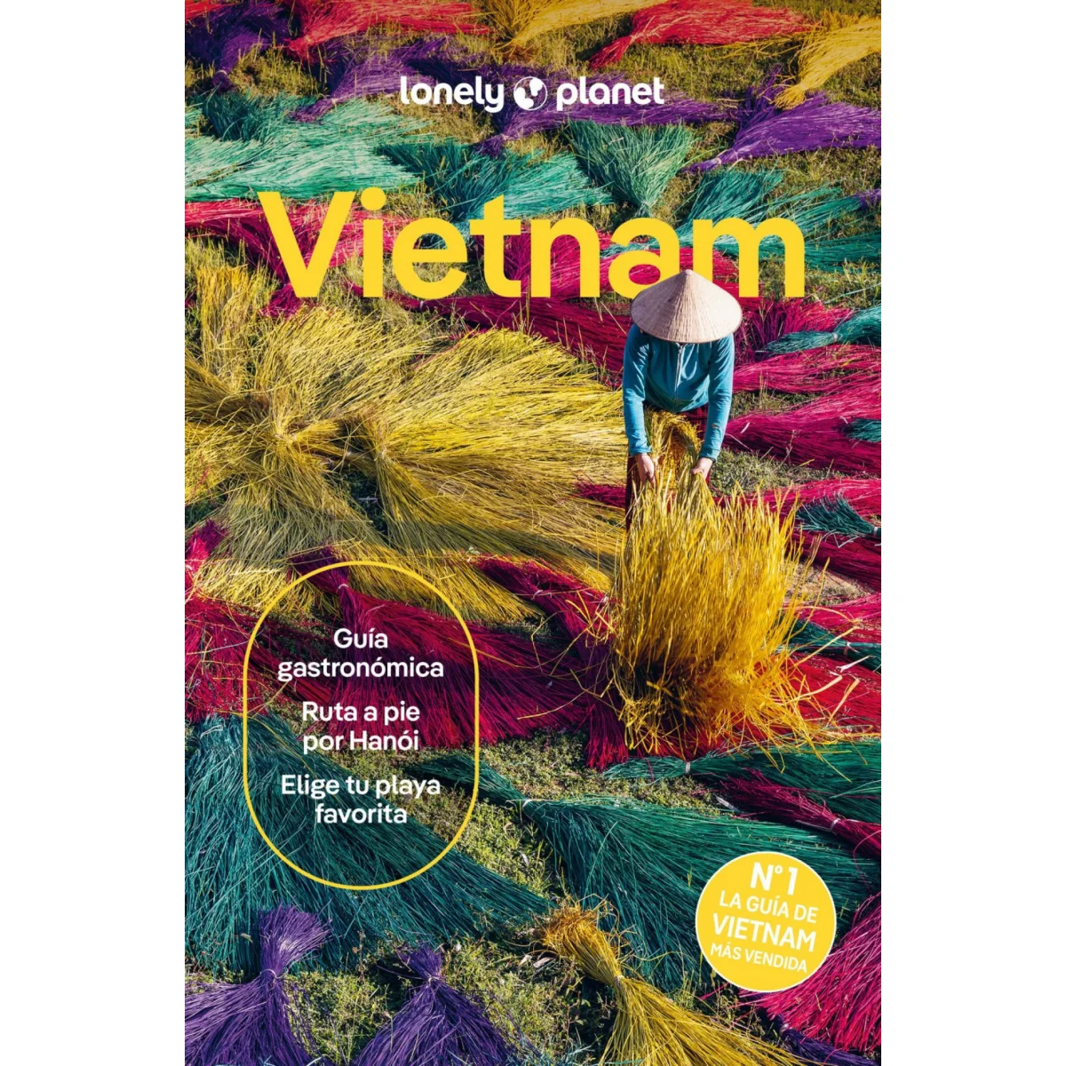 Vietnam 2026 (Guías de País Lonely Planet), Diana Truong, Geoplaneta