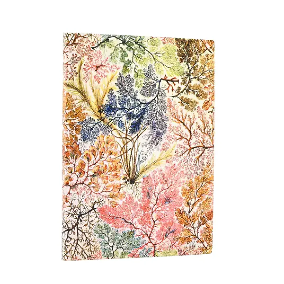 Llibreta 23x17 llis Anemones Paperblanks FB9903-1