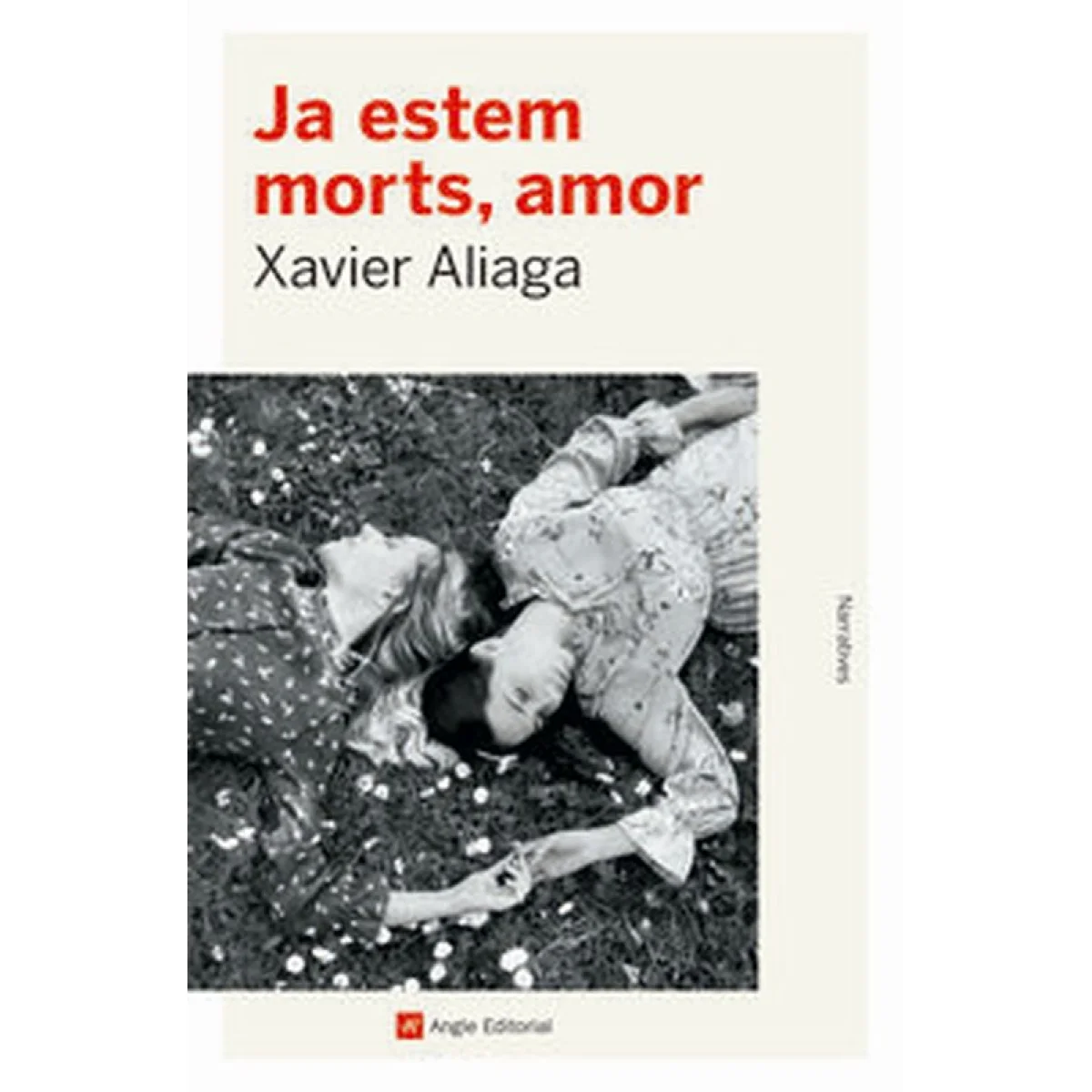 Ja estem morts, amor, Xavier Aliaga, Angle