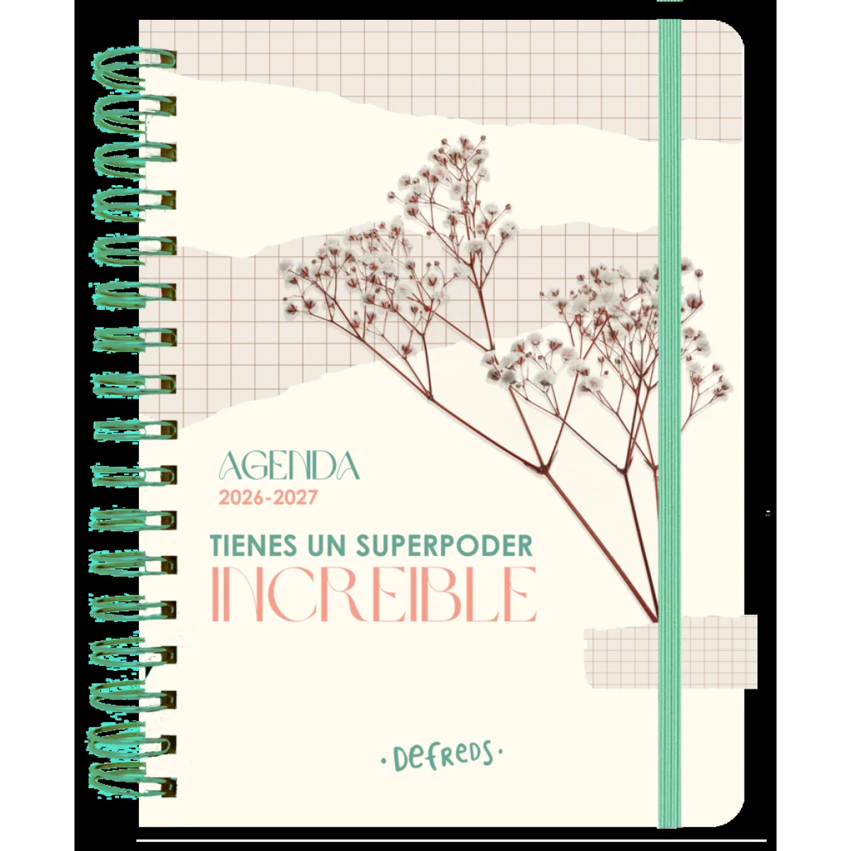 Agenda escolar Defreds 26/27 Tantanfan
